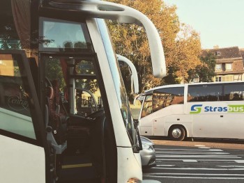 Strasbus