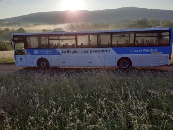 Transarc